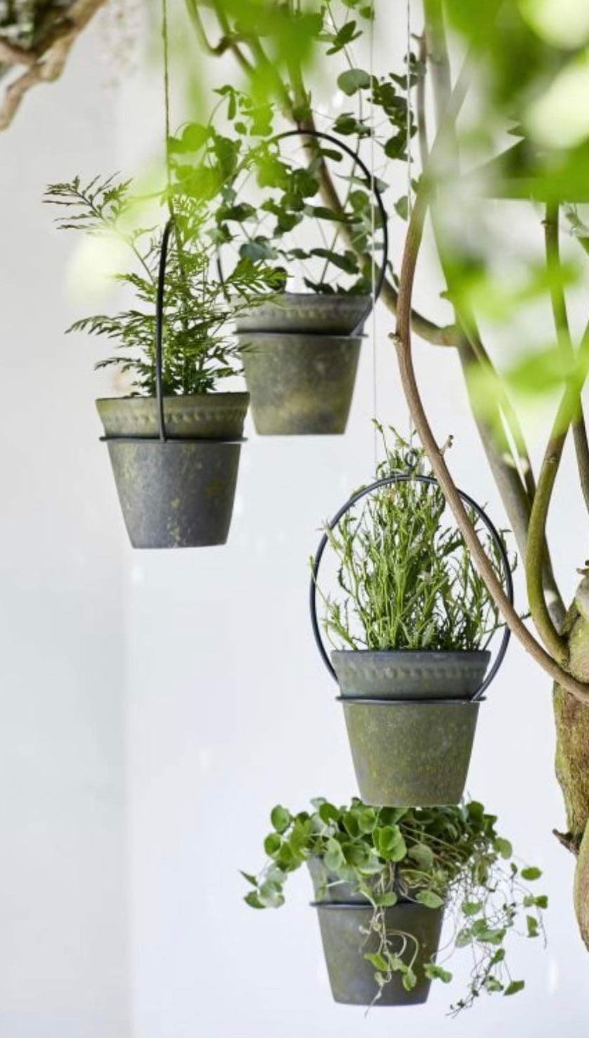 Lisa Choko Patina Small