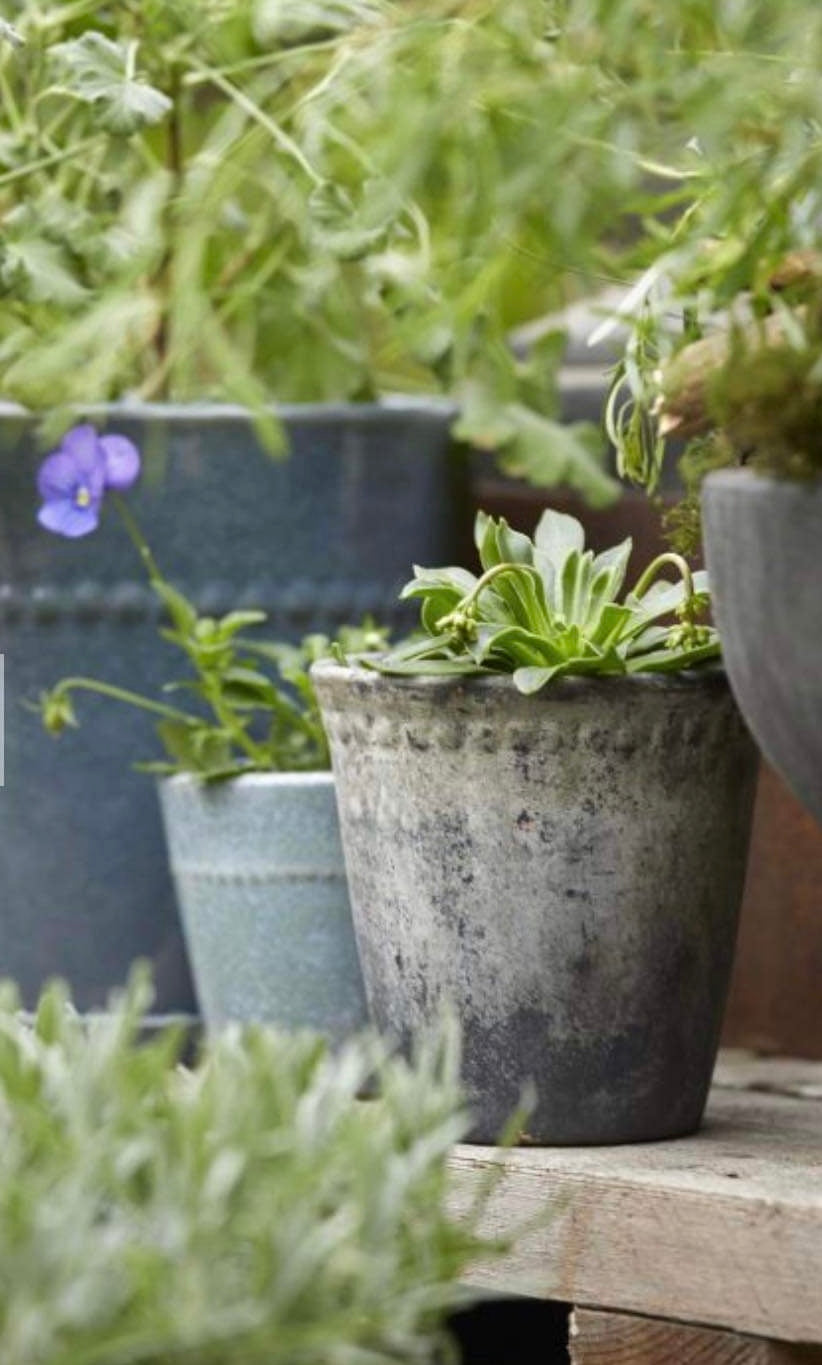 Lisa Choko Patina Large