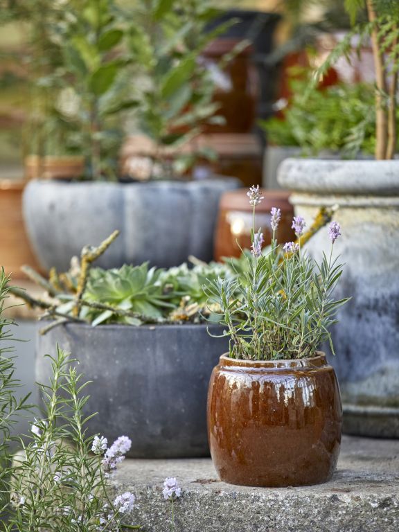 Small Brown Glazed Pot
