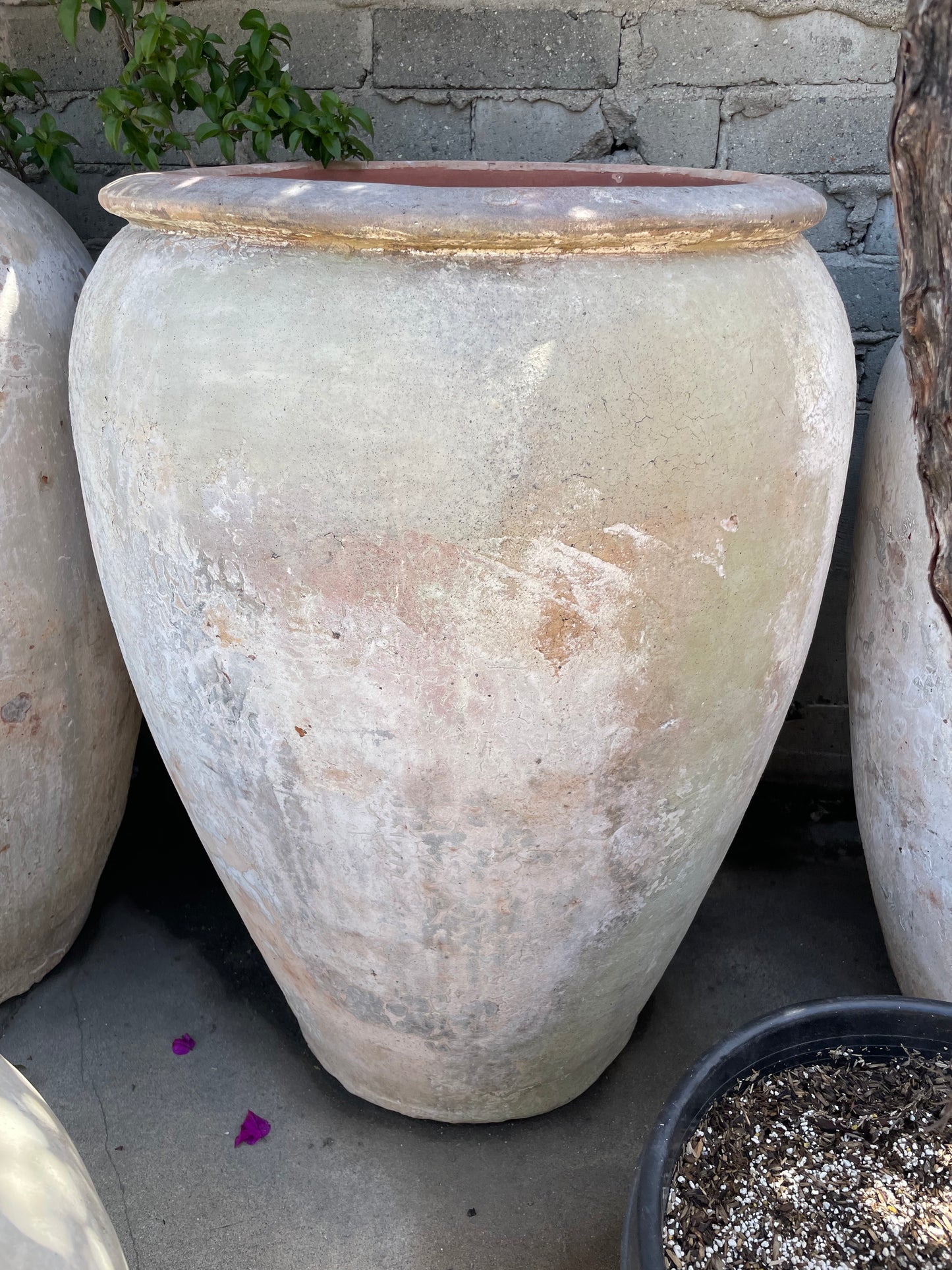 XL White clay Pot II