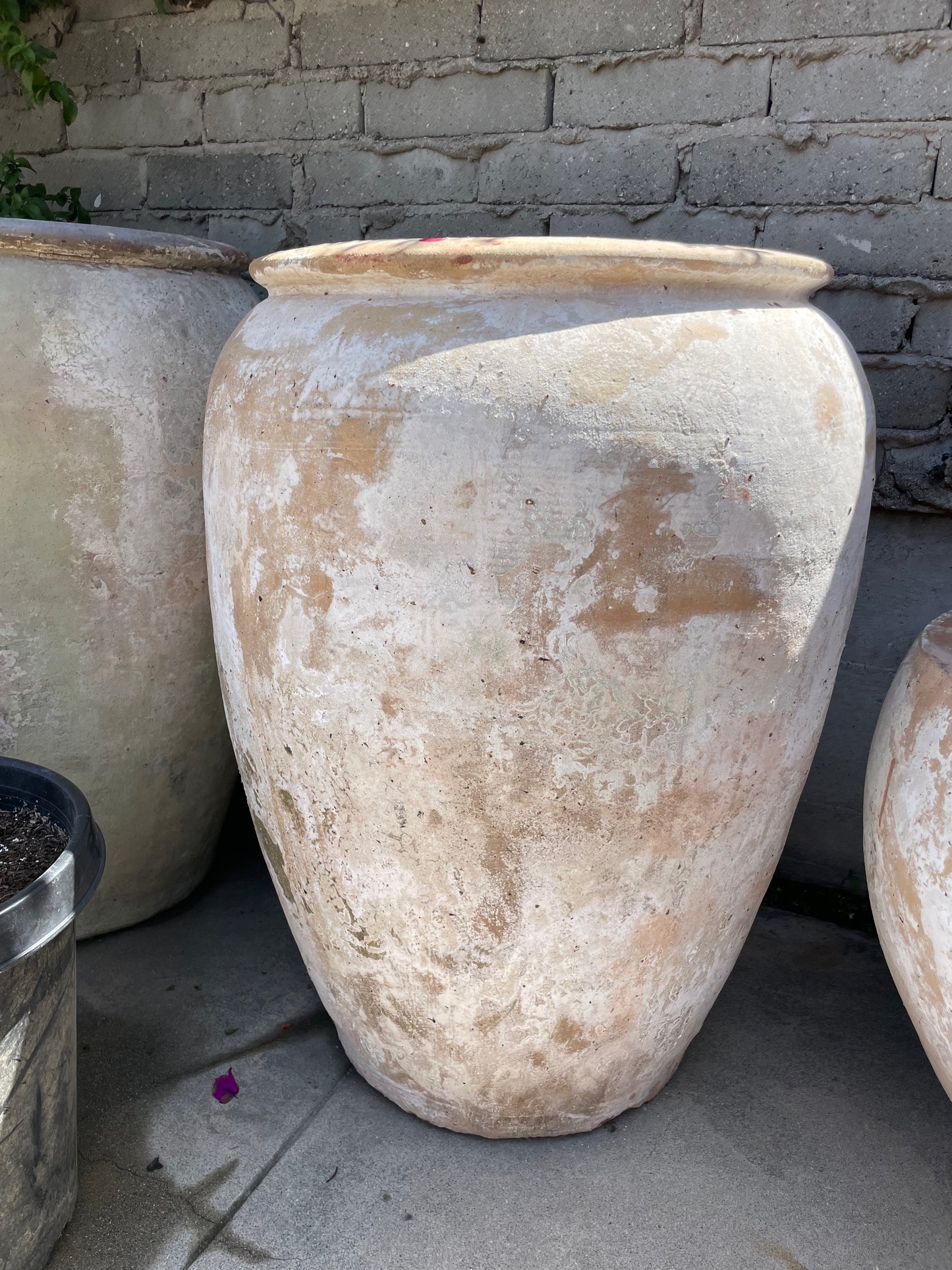 XL White clay Pot III