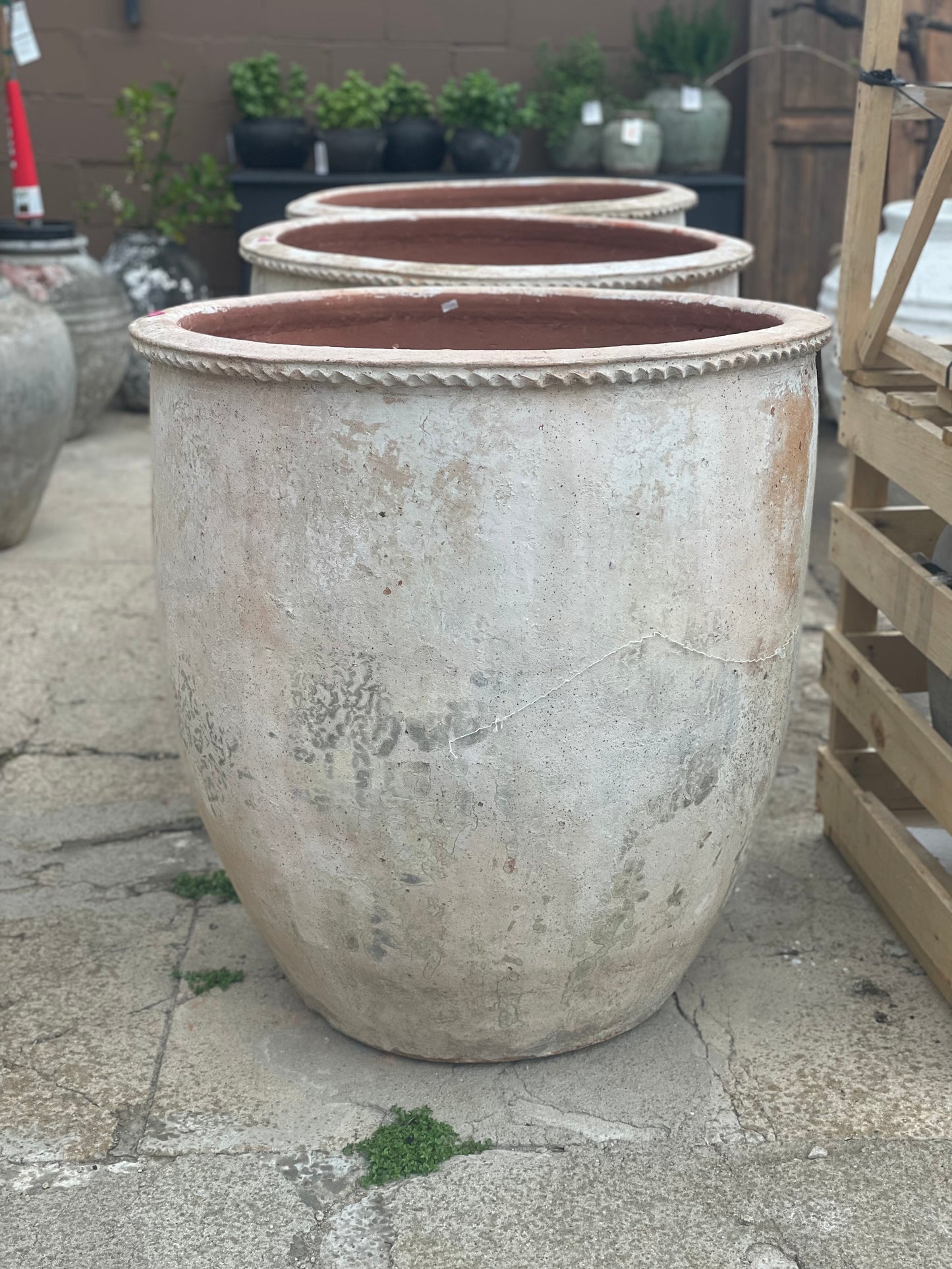 White Terracotta Pot with Antique Patina, Large