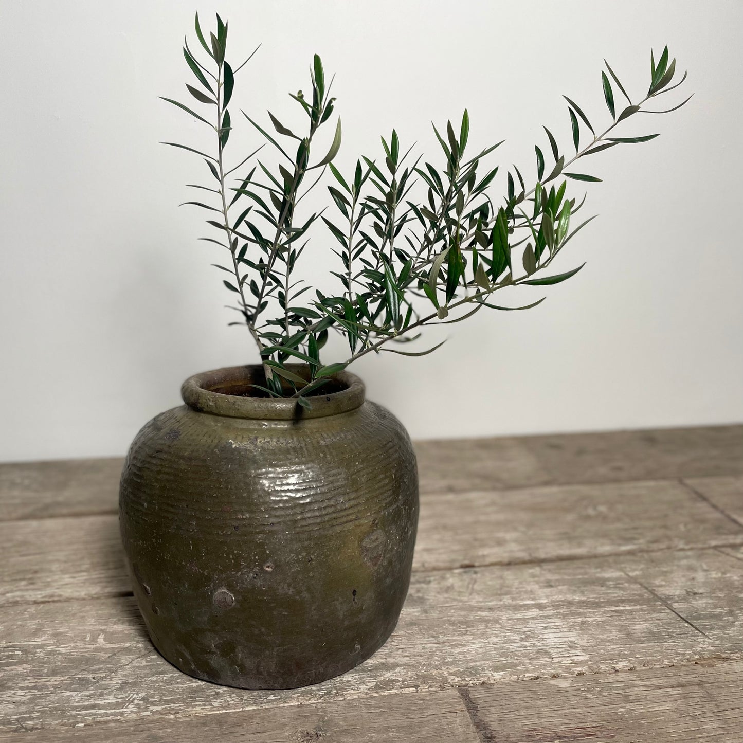Dusty Olive Green Guci Salt Pot, Medium
