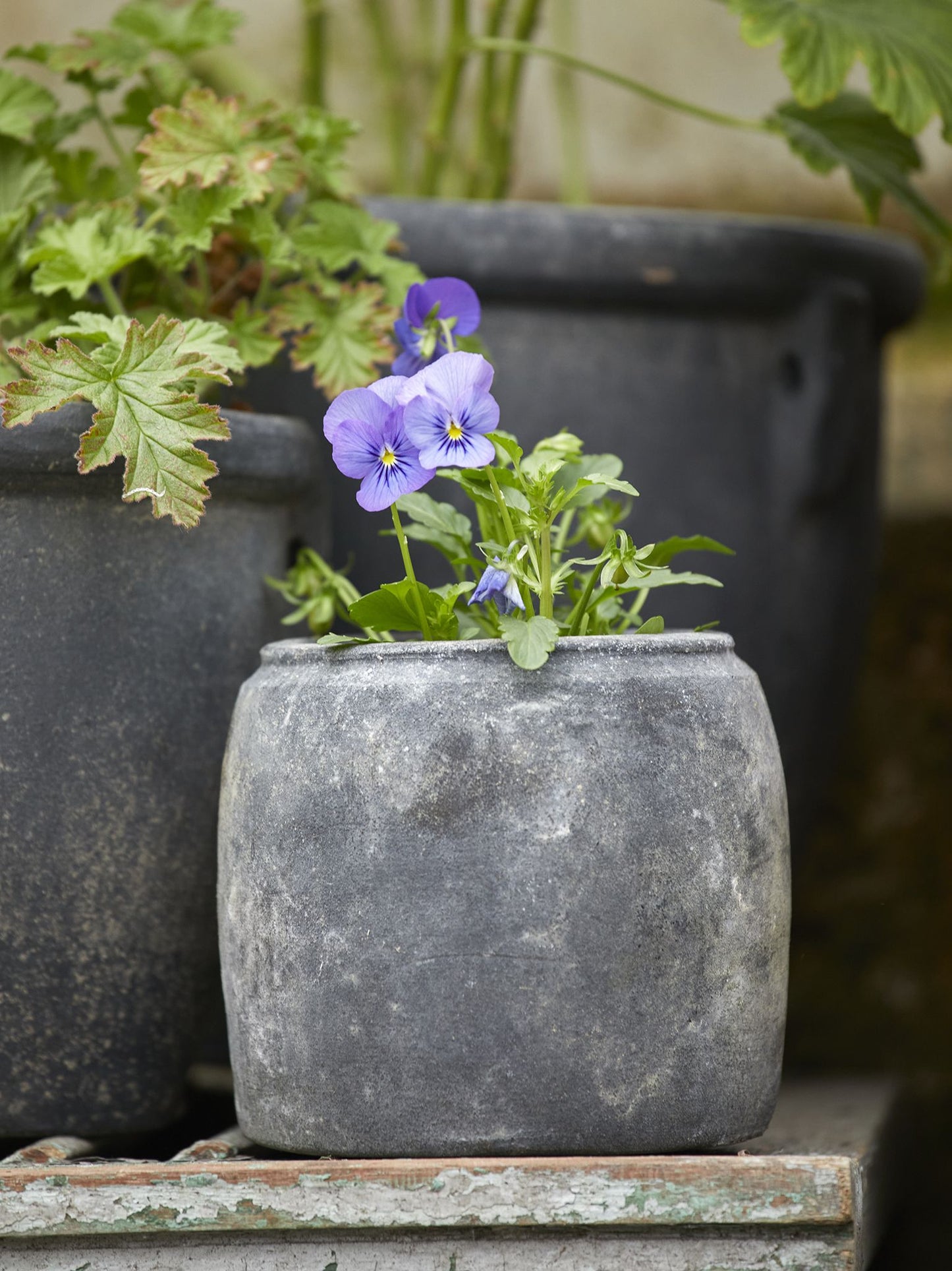 Betty Choko Patina Small