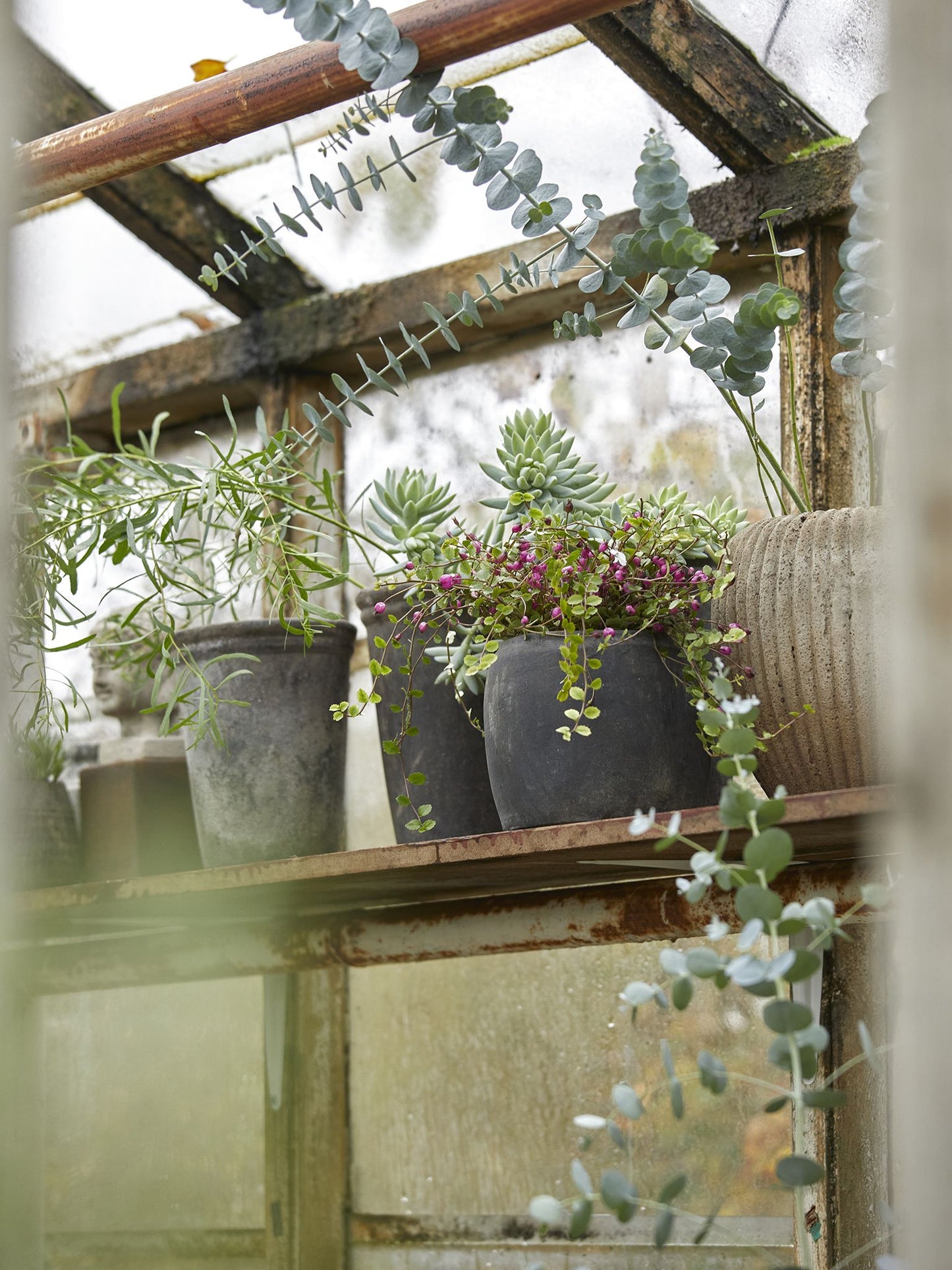 Betty Choko Patina Small