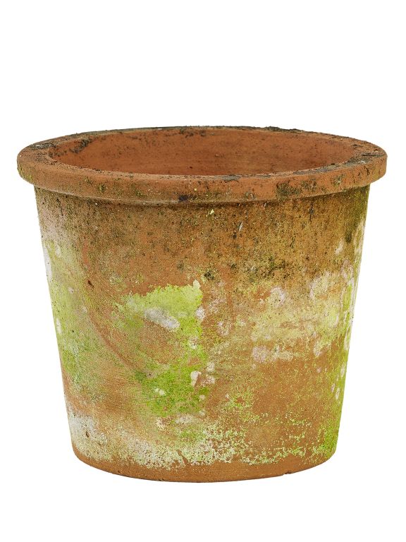 Susan Patina Small