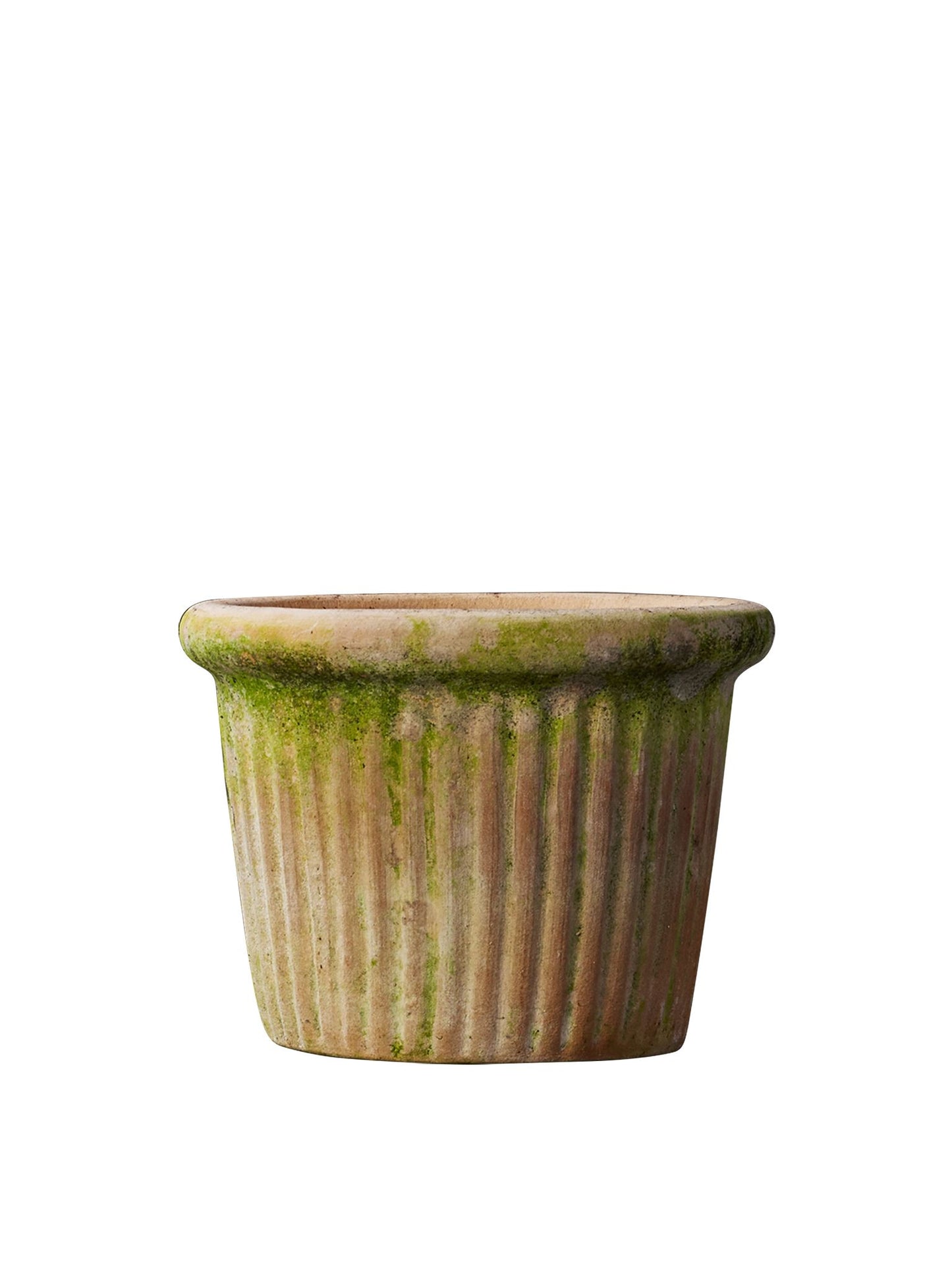 Cathy Patina Small