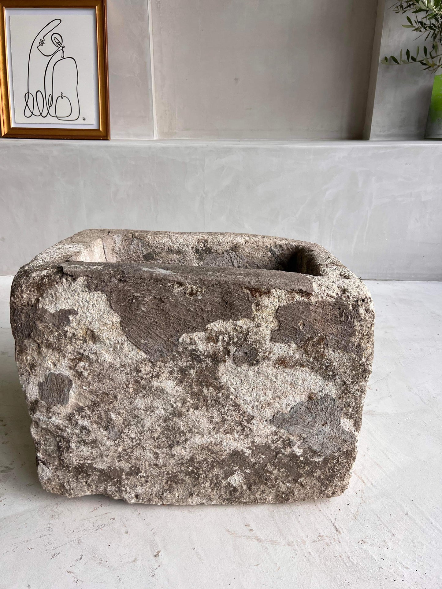 unique antique stone bowl planter limestone interior design by birk los angeles olive tree