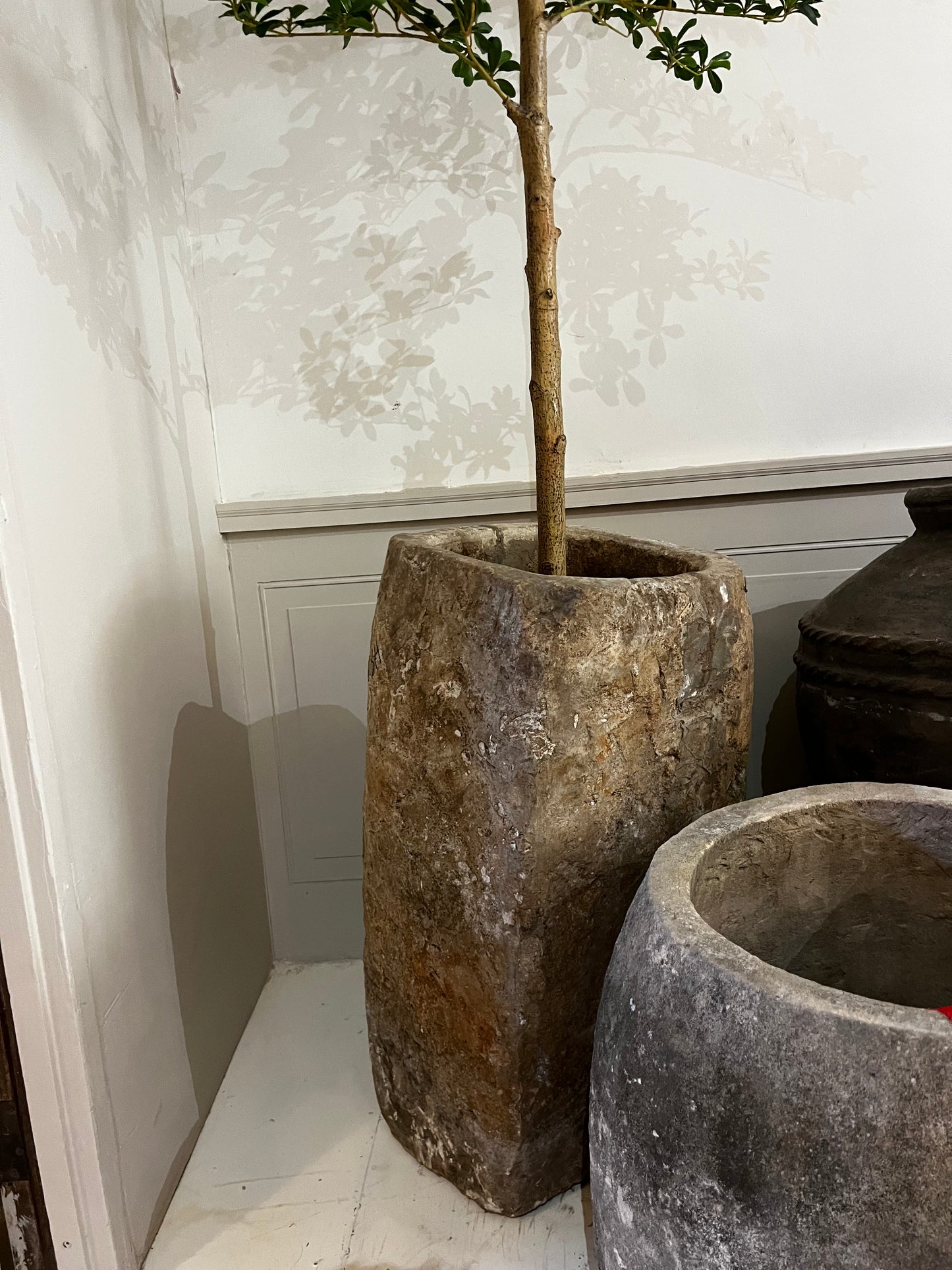 Limestone, tall and squared